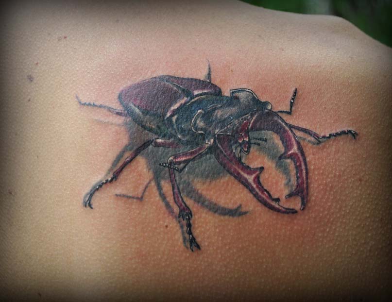 татуировка жука, татуировка, студия татуировки,маруха, салон