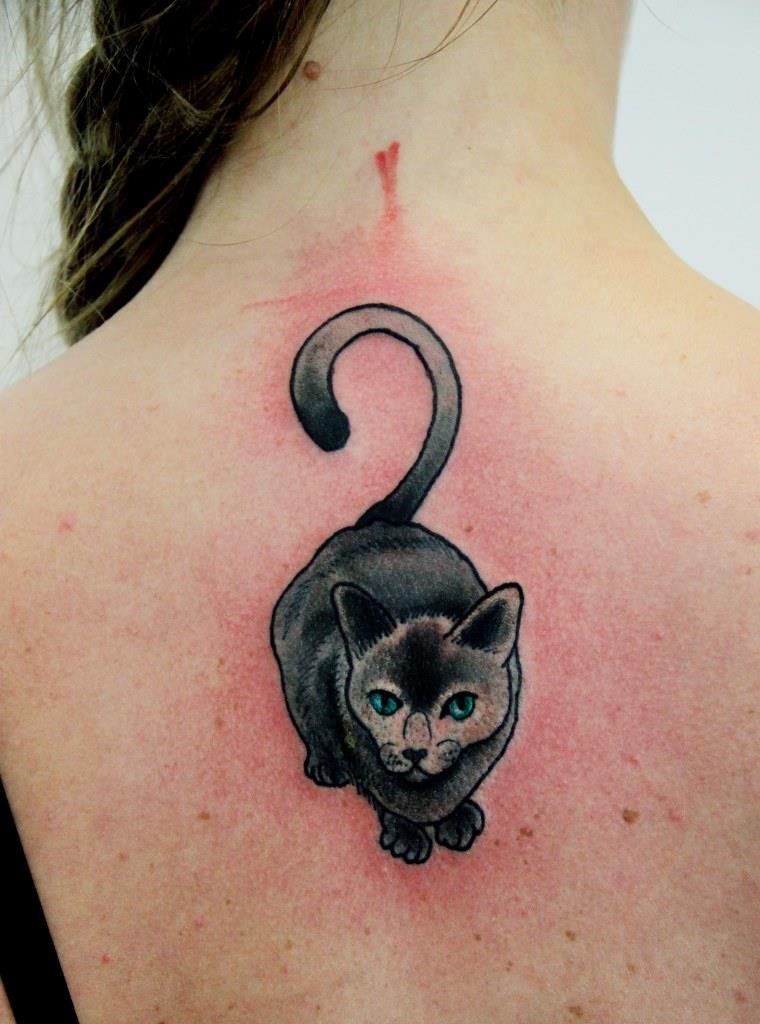 Художественная татуировка "Кот". Выполненная мастером Александром. Часть тела: спина. Время работы 1 час.