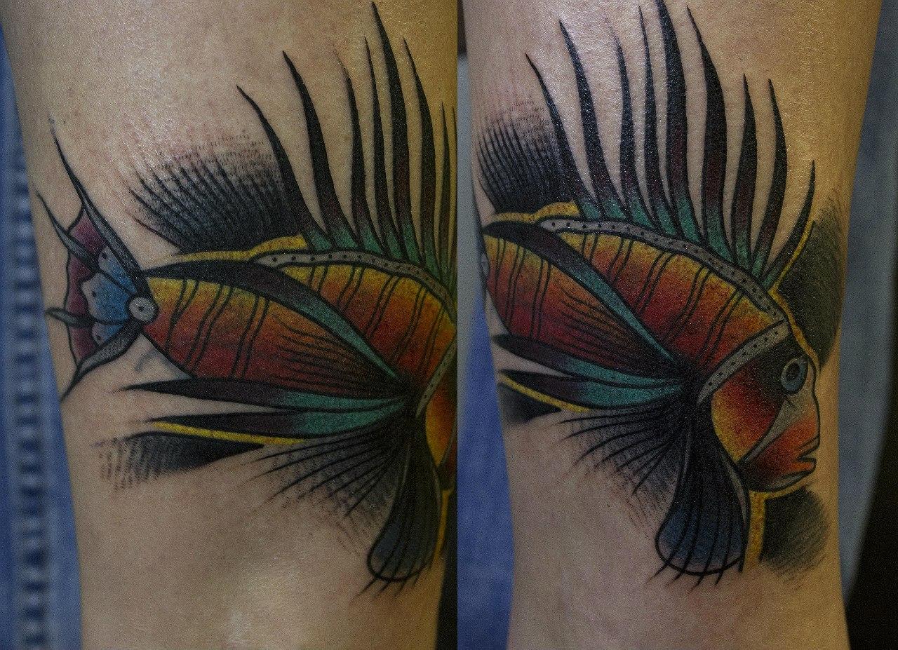художественная татуировка "Рыба петушок". Мастер Вова Snoop.
