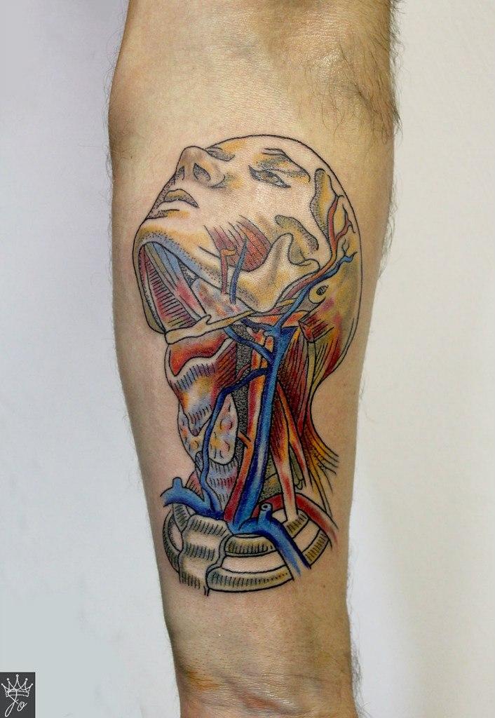 Художественная татуировка "Анатомическая голова". Мастер Ксения Jokris Соколова.
