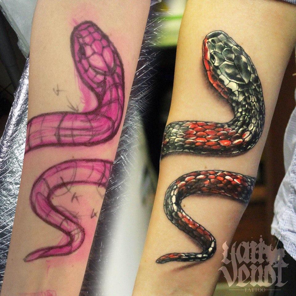 Художественная татуировка "Змея". Мастер Ян Енот.