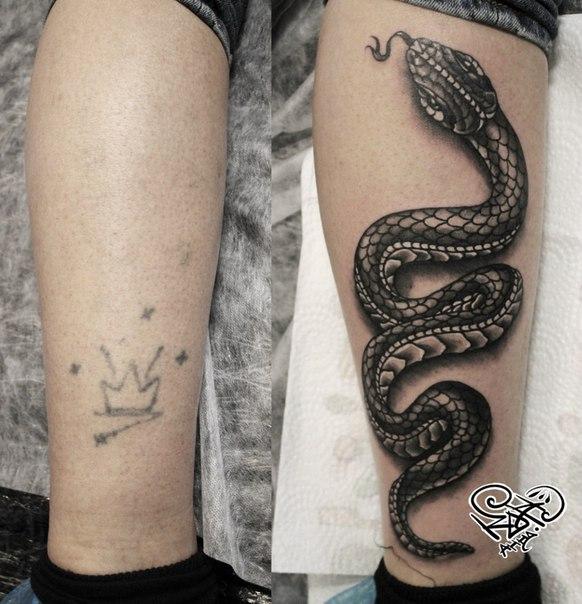 Художественная татуировка «Змея». Мастер — Анна Корь