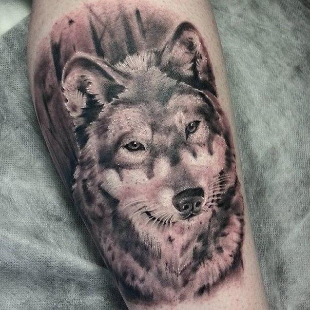 Художественная татуировка "Волк" от Евгения Ершова.