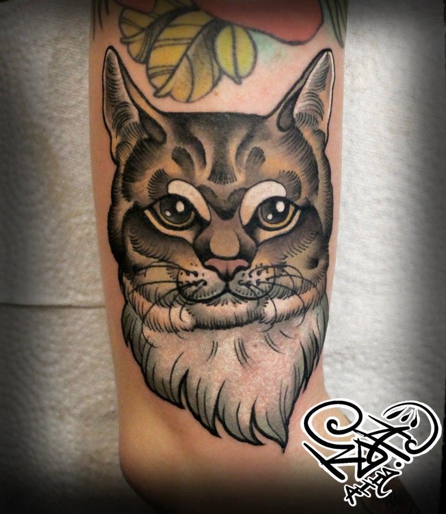 Художественная татуировка "Котик". Мастер- Анна Корь