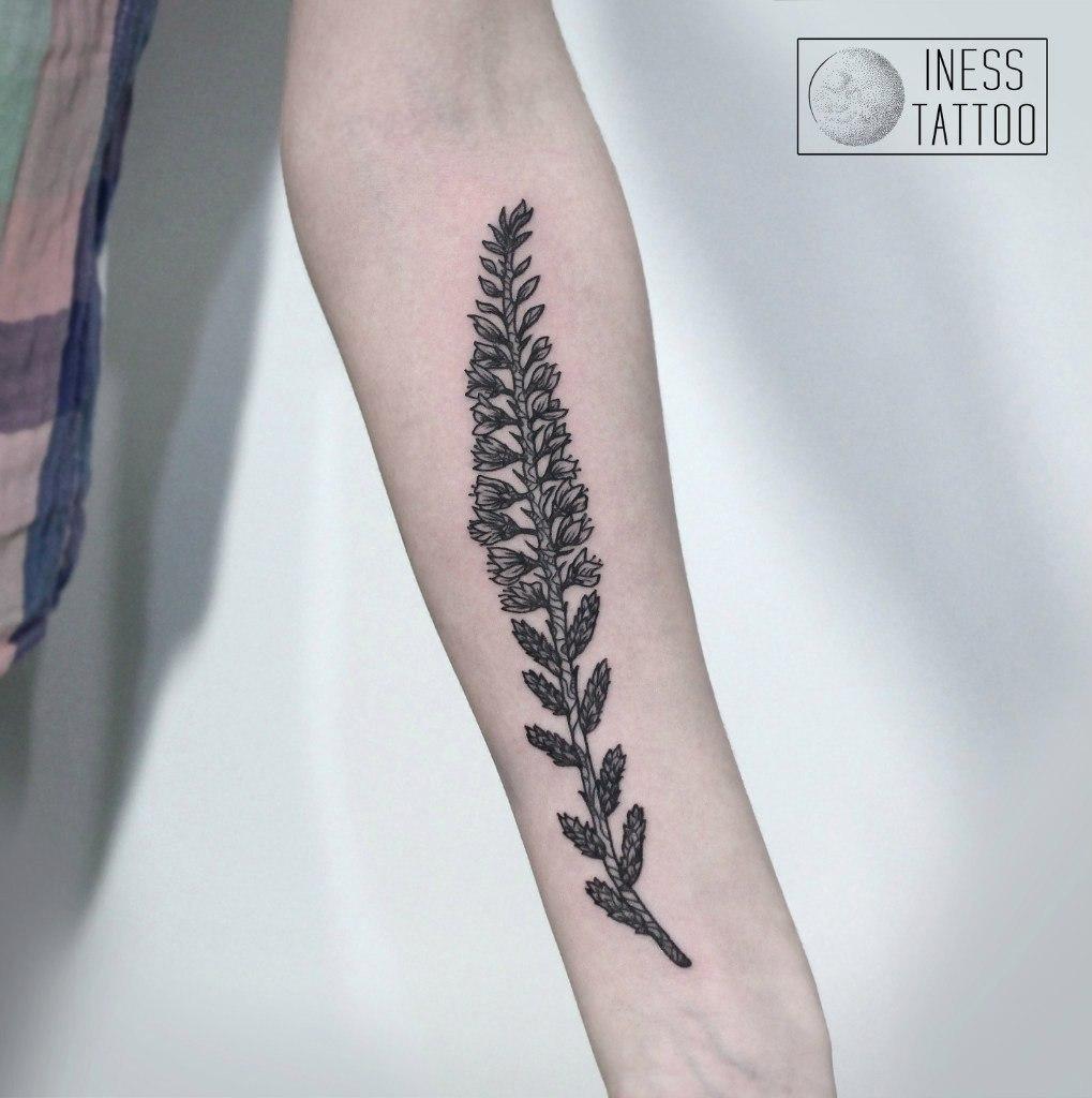 Художественная татуировка «Растение». Мастер — Инесса Кефир